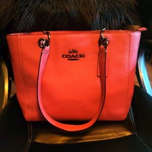 Coach Carryall Handbag